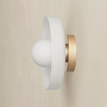 Disc Orb Outdoor Surface Mount - Brass Canopy / Opaline