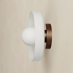 Disc Orb Outdoor Surface Mount - Patina Brass Canopy / Opaline