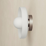 Disc Orb Outdoor Surface Mount - Pewter Canopy / Opaline