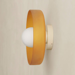 Disc Orb Outdoor Surface Mount - Bone Canopy / Sandblasted Amber