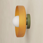 Disc Orb Outdoor Surface Mount - Reed Green Canopy / Sandblasted Amber