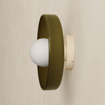Disc Orb Outdoor Surface Mount - Black Canopy / Pistachio