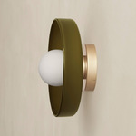 Disc Orb Outdoor Surface Mount - Brass Canopy / Pistachio