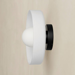 Disc Orb Outdoor Surface Mount - Black Canopy / Sandblasted White