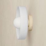 Disc Orb Outdoor Surface Mount - Bone Canopy / Sandblasted White