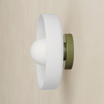 Disc Orb Outdoor Surface Mount - Reed Green Canopy / Sandblasted White