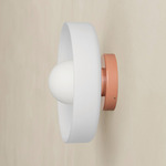 Disc Orb Outdoor Surface Mount - Peach Canopy / Sandblasted White
