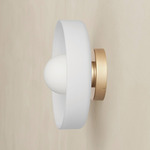 Disc Orb Outdoor Surface Mount - Brass Canopy / Sandblasted White