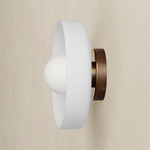 Disc Orb Outdoor Surface Mount - Patina Brass Canopy / Sandblasted White