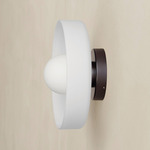 Disc Orb Outdoor Surface Mount - Blackened Brass Canopy / Sandblasted White