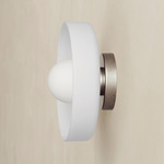 Disc Orb Outdoor Surface Mount - Pewter Canopy / Sandblasted White