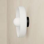Disc Orb Outdoor Surface Mount - Black Canopy / Opaline