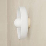Disc Orb Outdoor Surface Mount - Bone Canopy / Opaline