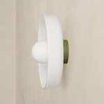 Disc Orb Outdoor Surface Mount - Reed Green Canopy / Opaline