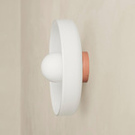 Disc Orb Outdoor Surface Mount - Peach Canopy / Opaline
