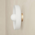 Disc Orb Outdoor Surface Mount - Brass Canopy / Opaline