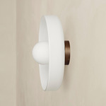 Disc Orb Outdoor Surface Mount - Patina Brass Canopy / Opaline