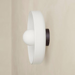 Disc Orb Outdoor Surface Mount - Blackened Brass Canopy / Opaline