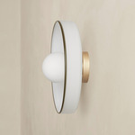 Disc Orb Outdoor Surface Mount - Brass Canopy / Opaline, Pistachio Rim