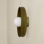 Disc Orb Outdoor Surface Mount - Reed Green Canopy / Pistachio