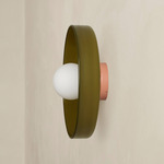 Disc Orb Outdoor Surface Mount - Peach Canopy / Pistachio, Pistachio Rim