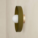 Disc Orb Outdoor Surface Mount - Brass Canopy / Pistachio, Pistachio Rim