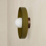 Disc Orb Outdoor Surface Mount - Patina Brass Canopy / Pistachio, Pistachio Rim