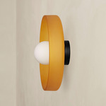 Disc Orb Outdoor Surface Mount - Black Canopy / Sandblasted Amber