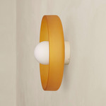 Disc Orb Outdoor Surface Mount - Bone Canopy / Sandblasted Amber