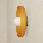 Disc Orb Outdoor Surface Mount - Reed Green Canopy / Sandblasted Amber