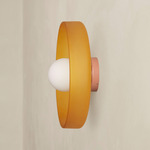 Disc Orb Outdoor Surface Mount - Peach Canopy / Sandblasted Amber