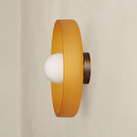 Disc Orb Outdoor Surface Mount - Patina Brass Canopy / Sandblasted Amber