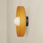 Disc Orb Outdoor Surface Mount - Blackened Brass Canopy / Sandblasted Amber