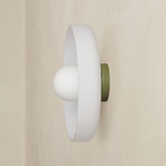 Disc Orb Outdoor Surface Mount - Reed Green Canopy / Sandblasted White