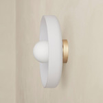 Disc Orb Outdoor Surface Mount - Brass Canopy / Sandblasted White