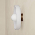 Disc Orb Outdoor Surface Mount - Patina Brass Canopy / Sandblasted White