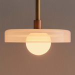 Disc Outdoor Pendant - Brass / Opaline