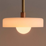 Disc Outdoor Pendant - Brass / Sandblasted White