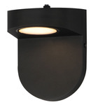 Ledge Outdoor Wall Light with Photocell - Black