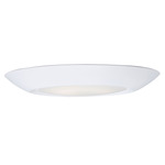 Diverse Color-Select Ceiling Light - White / White