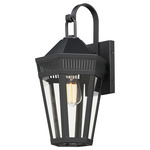 Oxford Outdoor Wall Sconce - Black / Clear