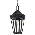 Oxford Outdoor Pendant - Black / Clear