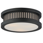 Oxford Outdoor Ceiling Light - Black / White