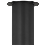Archer Ceiling Light - Midnight Black