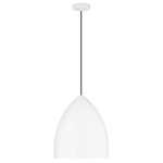Huron Pendant - Matte White