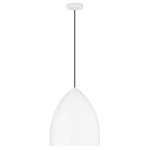 Huron Pendant - Matte White