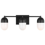 Foster Bathroom Vanity Light - Midnight Black / Milk
