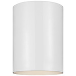 Cylinder Outdoor Ceiling Light - Open Box - White