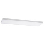 Addison Color-Select Ceiling Light - White
