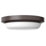 Dean Color-Select Outdoor Ceiling Flush Light - Bronze / White